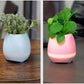 Musical Bluetooth Flower Pot with Singing Feature