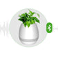 Musical Bluetooth Flower Pot with Singing Feature
