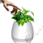 Musical Bluetooth Flower Pot with Singing Feature