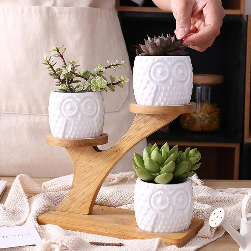 Decor